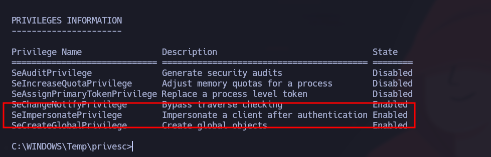 Windows Server 2003 privilege output