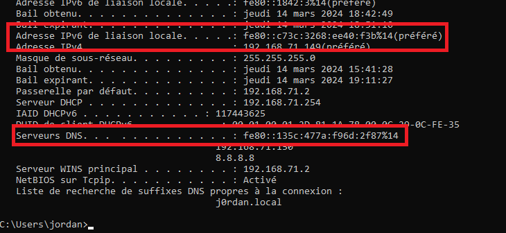 mitm6 DHCPv6 poisoning output